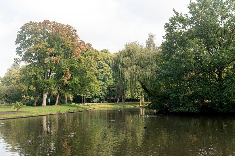 Stadtpark Gronau van Richard Wareham
