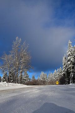 The northern position in winter by Claude Laprise