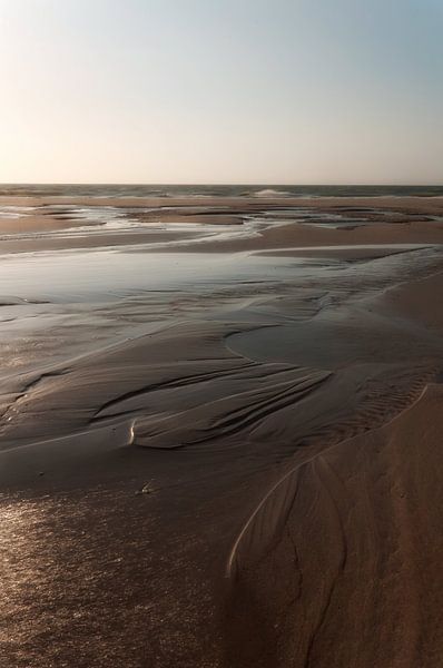 beach by Martin Beekwilder