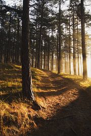 Nationaal Park Zuid-Kennemerland 001