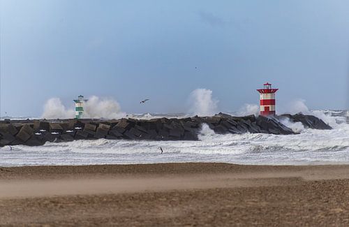 Pier von Scheveningen