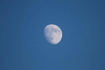 Lune croissante sur Rob van Amerongen