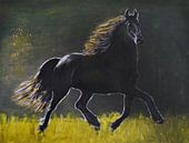 Friesian horse by Jan Wiersma thumbnail