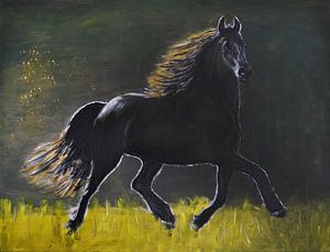 Cheval frison sur Jan Wiersma