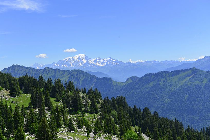De Mont Blanc von Jeroen van Breemen