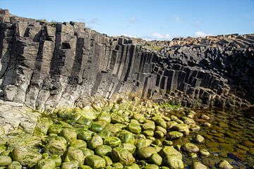 Basaltformaties bij Kalfshamarsvik, IJsland van Jan Fritz