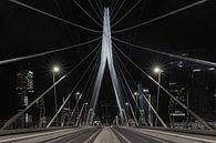 De Erasmusbrug in Rotterdam vanuit een uniek standpunt van MS Fotografie | Marc van der Stelt thumbnail