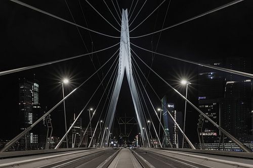 De Erasmusbrug in Rotterdam vanuit een uniek standpunt