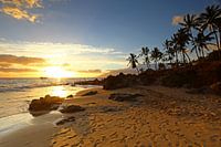 Sunset at the beach in Hawaii
