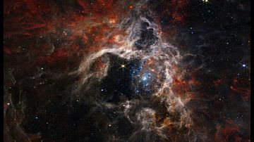 Nasa James Webb ruimte teleskoop van Brian Morgan