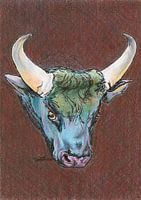 Blauwe Stierenkop