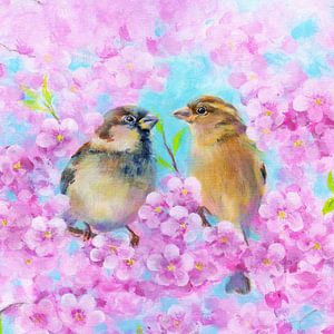 Spatzenpärchen zwischen rosa Kirschblüten
