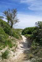 Pad door het natuurlijke landschap op Baltrum