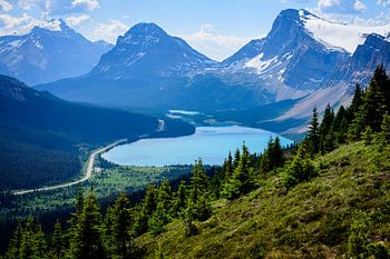 Le lac Bow vu des hauteurs - Vue du sentier du lac Peyto