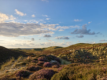 Sylt, vue à travers les dunes de Lister vers le port royal