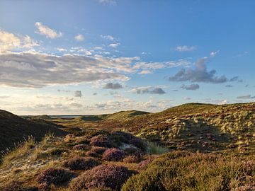 Sylt, vue à travers les dunes de Lister vers le port royal