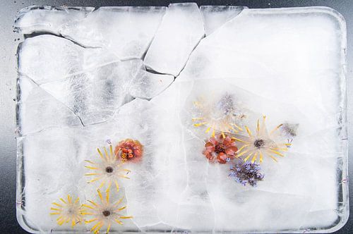 Bevroren Zomer II von Guido Van den Troost