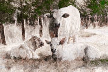Zomerse weelde met rustende koeien in een vintage kleurenpallet van Studio Mirabelle