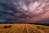 Thunderstorm at sunrise