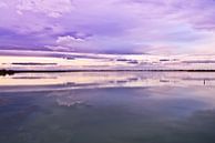 Sky of the Camargue by gerald chapert thumbnail