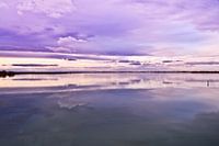 Sky of the Camargue
