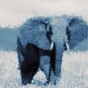 Olifant avec le style 'Deep Blue' sur Whale & Sons