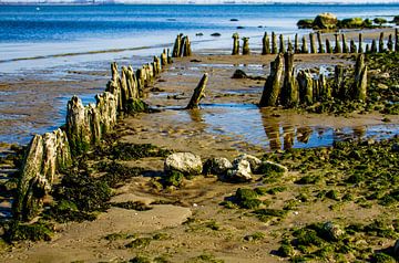 Groyne view on a secluded beach by Holger Felix