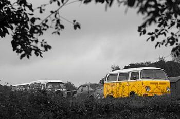 Käfer beim Käfertag in Simpelveld