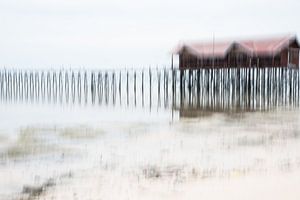 Maison sur pilotis sur la plage