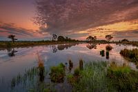 Drenthe landschap