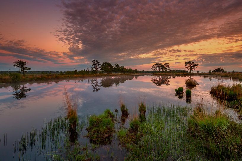 Drenthe landschap van Andy Luberti