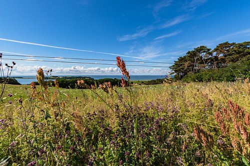 gros plan, Groß Zicker, vue sur Klein Zicker, le lac Zicker et la mer Baltique, Rügen