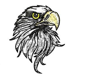 Adler ( Zeichnung )