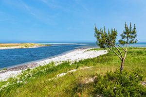 Ostseeküste am ehemaligen Nothafen Prerow auf dem Fischland-Dar