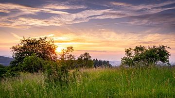 Abendspaziergang von Steffen Henze