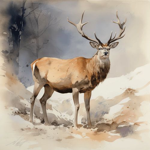 aquarelle cerf rouge