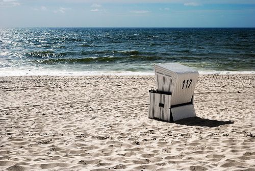 117 by Hannes Cmarits