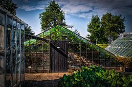 Historic grape greenhouse at the Westland Museum.