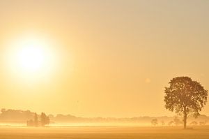 Morgendämmerung in der Achterhoek von Arno Wolsink