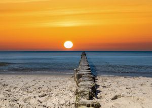 Épis au lever du soleil sur la mer Baltique sur Animaflora PicsStock