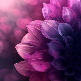 Close-up of purple flower with beautiful light by Studio Allee