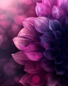 Nahaufnahme einer lila Blume mit schönem Licht