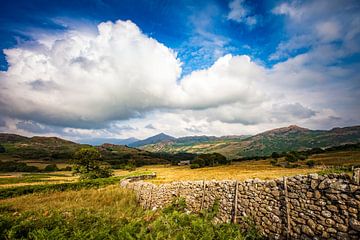 Little Cumbria wall by Freddy Hoevers