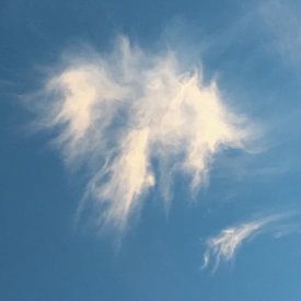 Engel in de wolken von Kevin Overbeek