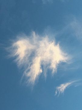 Engel in de wolken van Kevin Overbeek