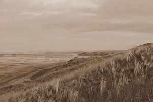 Blick über die Slufter mit dem Leuchtturm von Texel in Sepia in der Ferne