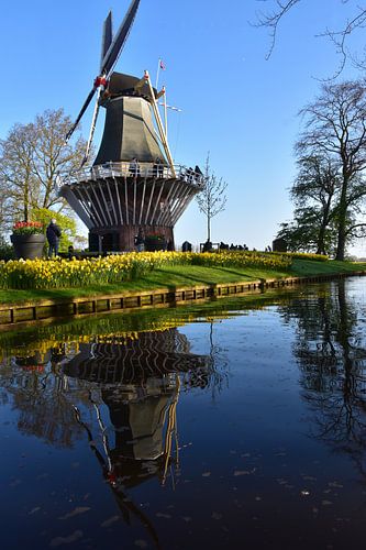 Un moulin au jardin au printemps