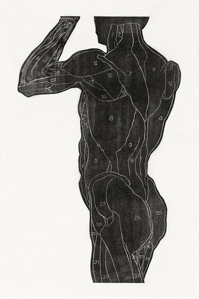 anatomie homme avec des muscles, Reijer Stolk par Atelier Liesjes