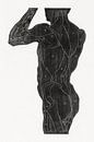 Anatomie Mann mit Muskeln, Reijer Stolk von Atelier Liesjes Miniaturansicht