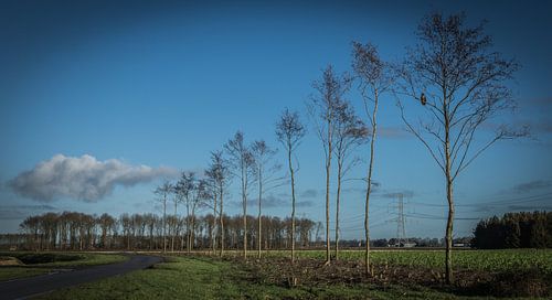 Valtherdijk, Valthermond, Drenthe.